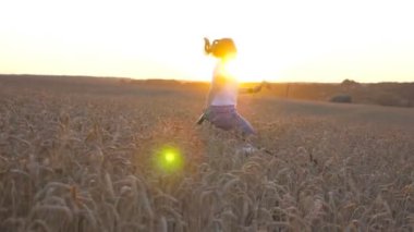 Elinde buğday sapı tutan mutlu bir kadın ve mısır gevreği tarlasında tasmalı Sibirya kurdu ile koşuyor. Güneş gözlüklü genç kız gün batımında köpeğiyle Golden Meadow 'da koşuyor. Yavaş çekim