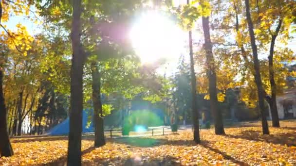 Blick Auf Den Wunderschönen Herbstpark Mit Umgefallenen Gelben Blättern Landschaftliche — Stockvideo