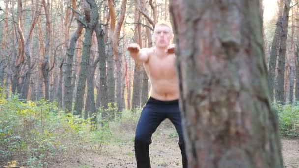 美しい日当たりの良い森の中で働いている若い男 スポーツマンは日没の背景でスクワットをしている 自然環境の中でアスリートのトレーニング 健康的で活動的なライフスタイルの概念 ドリーが撃たれた — ストック動画