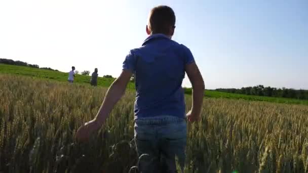 緑の小麦畑をジョギングする2人の息子と幸せな両親 母親と父親は 未熟な野生の牧場の間を走っている子供たちと一緒にいます 一緒に時間を過ごし 自然を楽しんでいる陽気な家族 — ストック動画