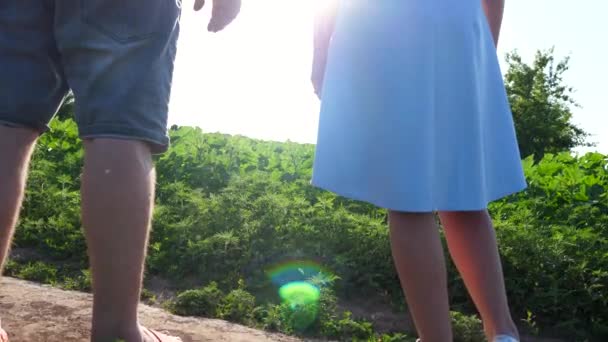 Güneşli Bir Günde Kırsalda Ele Tutuşan Mutlu Çift Genç Çiftler — Stok video