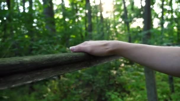 美しい緑の森の木の柵の女性の手の滑走 夏の日にウッドランドを歩く少女 自然の中で休むという概念 スローモーションを閉じる — ストック動画