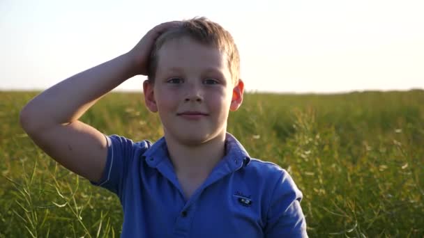 Băiețelul Zâmbitor Pistrui Uită Cameră Fundalul Câmpului Verde Portretul Unui — Videoclip de stoc