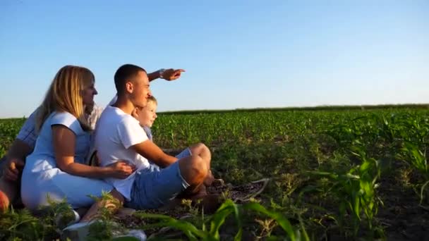 Fiatal Szülők Két Fiúval Együtt Kukoricaföldön Anyu Apu Gyerekekkel Zöld — Stock videók