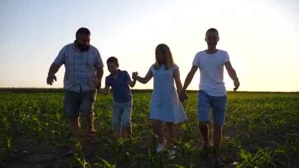 Young Couple Parents Two Sons Walks Cornfield Holding Hands Each — Stock Video