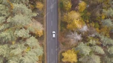 Sonbahar kırsal yolunda araba sürüyor. Güzel bir sonbahar sezonunda kırsal bölgede araba kullanmak. Beyaz SUV, sarı sonbahar ormanı boyunca manzaralı arazide ilerliyor. Üst Görünüm Hava Görüntüsü.