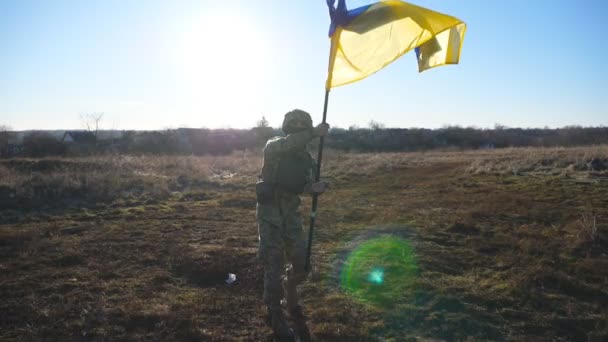 태양과 하늘에 대하여 우크라이나의 웨이브 깃발에 우크라이나 병사는 현장에서 국가의 — 비디오