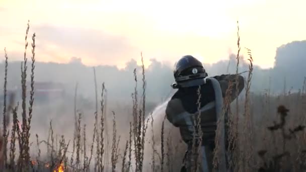 Bombero Masculino Uniforme Extingue Quema Hierba Utilizando Una Manguera Fuego — Vídeos de Stock
