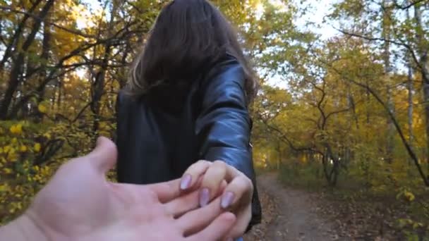幸せな女の子のショットに従う秋の森の中で彼女のボーイフレンドプル 若い女性は男性の手を保持し 森の中のパスに沿って実行されます 背景に美しい自然 愛情の概念 Povスローモーション — ストック動画