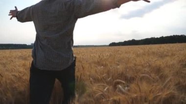 Buğday tarlasında koşarken genç ve mutlu tarımcı el kaldırsın. Tanınmayan çiftçi, arpa çayırlarında koşarken eğleniyor. Tarım sektörü kavramı. Yavaş çekim.