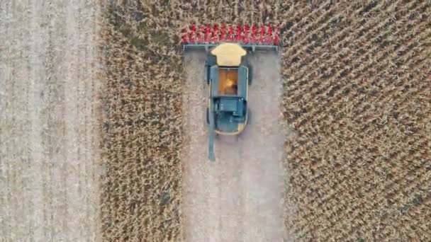 Воздушный Кадр Сбора Кукурузы Летает Над Комбайном Медленно Проскакивая Полю — стоковое видео