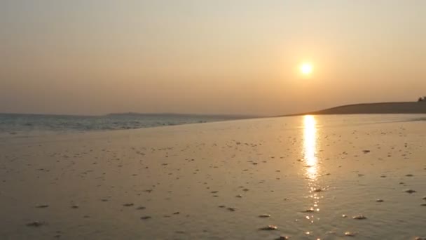 Молода Жінка Купальнику Біжить Піщаному Пляжі Біля Океану Заході Сонця — стокове відео