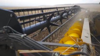 Yakın bıçak iplik ve buğday kulakları kesme birleştirmek kadar. Hasat makinesi yavaşça tarlada geziniyor ve olgun arpa mahsulünü topluyor. Gıda endüstrisi veya hasat kavramı. Yavaş çekim Yan görünüm.