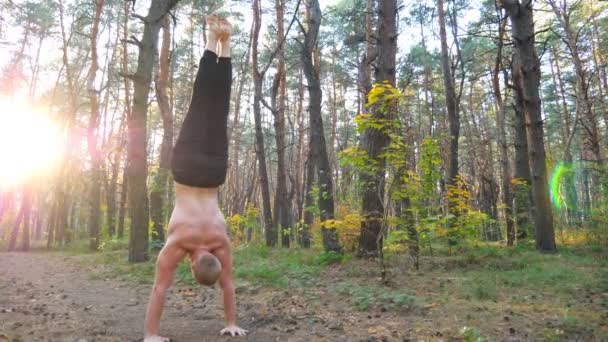 Young Man Doing Handstand Beautiful Sunny Forest Strong Gymnast Training — Stock Video