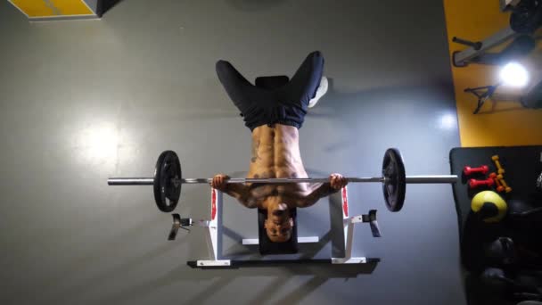Muskuløs Afrikansk Mann Gjør Benkpresstrening Med Vektstang Sportsklubben Ung Afroamerikansk – stockvideo