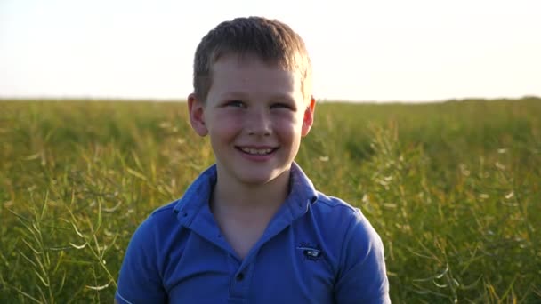 Mały Uśmiechnięty Chłopiec Piegami Patrzy Kamerę Tle Zielonego Pola Portret — Wideo stockowe