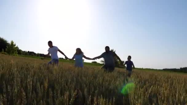 2人の息子を持つ幸せな両親は 未熟な野蛮な牧草地をジョギングするお互いの手を握ります 緑の小麦畑の間を走っている子供たちと母と父 夏の日に楽しむ陽気な家族 — ストック動画