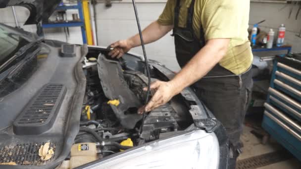 Mechanic Makes Car Maintenance Auto Service Professional Repairman Working Hood — Stock Video