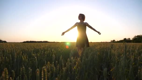 Yeşil Arpa Tarlasında Duran Gün Batımında Kaldıran Güzel Hippi Kız — Stok video
