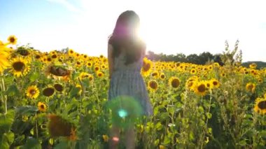 Arka planda parlak güneş ışığıyla ayçiçeği tarlasında koşan tasasız mutlu kız. Genç bir kadın çayırda koşup özgürlüğün tadını çıkartıyor. Manzaralı yaz manzarası. Özgürlük kavramı.