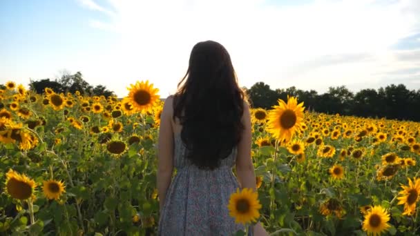 Carefree Woman Standing Field Blooming Sunflowers Admiring Scenic View Attractive — Stock Video