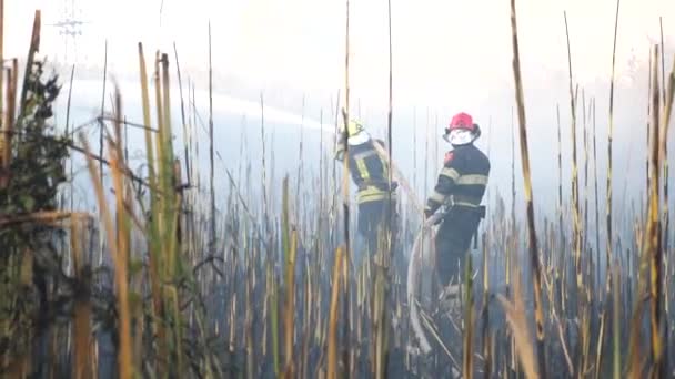 Unge Brandmænd Fuldt Udstyr Slukker Flammer Eng Mandlige Brandmænd Uniform – Stock-video
