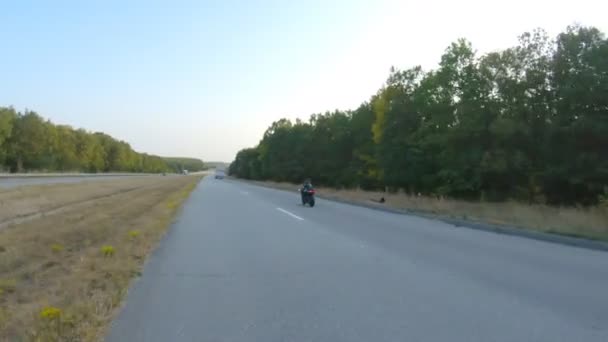高速道路で現代のスポーツバイクに乗るオートバイに従ってください バイカーは田舎道でバイクを走らせている 旅行中にバイクを運転する男 旅の自由と冒険の概念 空中射撃 — ストック動画
