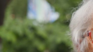 Dolly eski kadın gözlük açık vurmuş. Gözleri yaşlı bir Bayan ile onları çevresindeki kırışıklıklar. Büyükanne portresi kapatın. Ağır çekim.