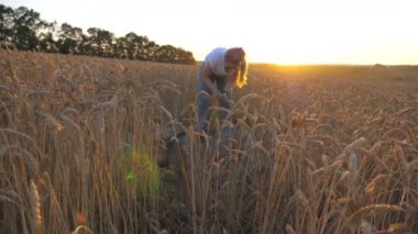 Sarı saçlı, buğday tarlasında dikilen ve gün batımında altın dikenli buket toplayan güzel bir genç kız resmi. Sibiryalı köpeğiyle çayırda dinlenen beyaz bir kız..