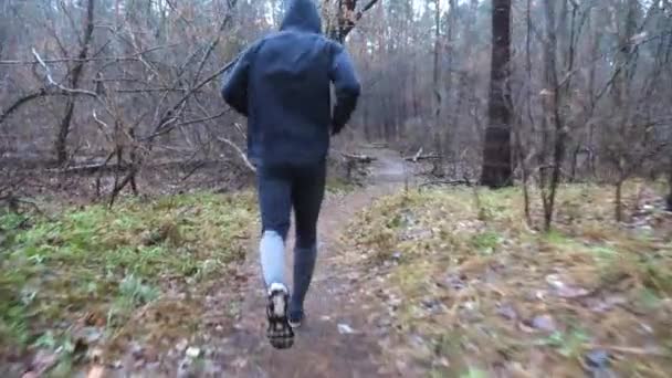 ウッドランドの道を走る若いスポーツマン 秋の森のトレイルに沿ってスポーティランナーのジョギング 屋外で心臓トレーニングを行う強力で耐久性のあるアスリート 健康的なアクティブライフスタイルのコンセプト — ストック動画
