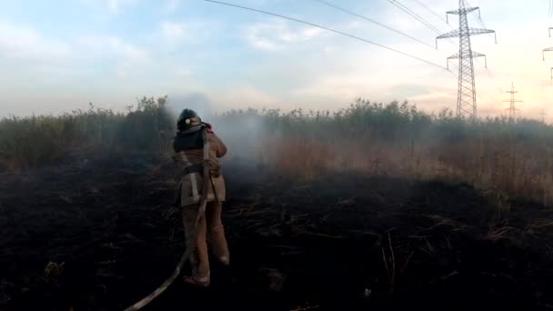 Üniformalı Erkek Itfaiyeci Kırsal Kesimdeki Yangın Hortumuyla Yanan Otları Söndürüyor — Stok video