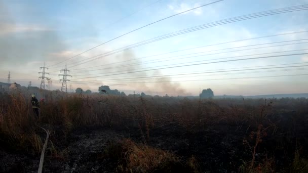 Tam Teçhizatlı Erkek Itfaiyeciler Kırsal Bölgedeki Yangın Hortumunu Çözüyor Üniformalı — Stok video