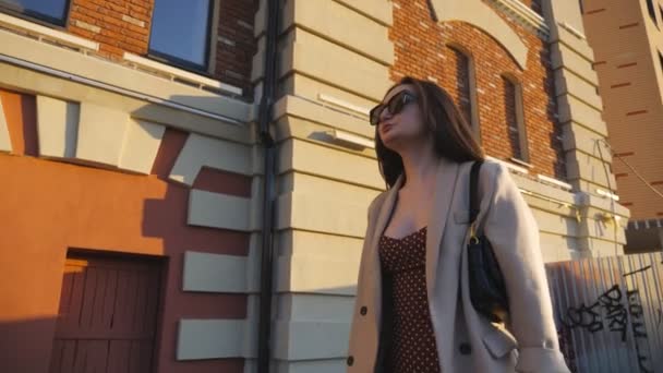 Elegant Woman Carries Full Paper Packets Walking Urban Square Female — стоковое видео
