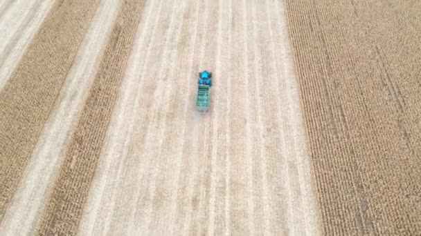 Fotografie Aeriană Tractorului Remorcă Care Deplasează Lungul Câmpului Timpul Recoltării — Videoclip de stoc