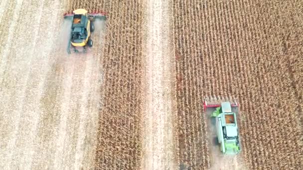 Aerial Shot Combines Gathering Corn Crop Field Flying Harvesters Harvesting — Stock Video