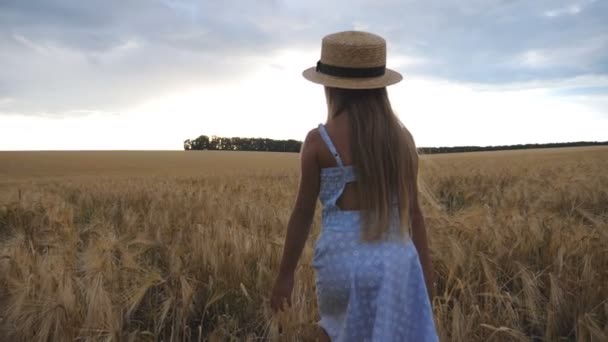 Bulutlu Bir Günde Buğday Tarlasında Yürüyen Hasır Şapkalı Küçük Kızı — Stok video