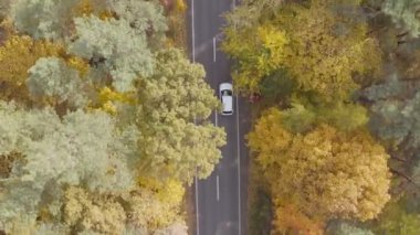 Sarı sonbahar ormanlarında yol boyunca giden beyaz arabanın üst görüntüsü. Sonbaharda kırsal bölgede araba kullanmak. Güzel bir sonbahar sezonunda arazi manzarası boyunca giden bir SUV. Seyahat konsepti. Hava görüntüsü.