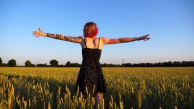 Genç hippi kadın, buğday tarlalarının arasında elini kaldırırken özgürlüğün tadını çıkarıyor. Günbatımında yeşil arpa tarlasında yürüyen dövmeli tasasız serseri kız. Güzel kırsal manzara.