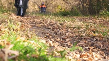 Motosikletliler motorsikletleriyle orman yolunda hızlı sürüyorlar. Güçlü motosikletler süren arkadaşlar doğada aktif olarak dinleniyorlar. Motorcular gezinin tadını çıkarıyor. Olağanüstü spor konsepti. Yavaş çekim.