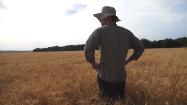 靠近站在麦田里的男性农民 看着金黄色的种植园 阳光明媚的日子里 年轻的农学家正在察看大麦的草地 农业企业的概念 多利射门慢动作 — 图库视频影像