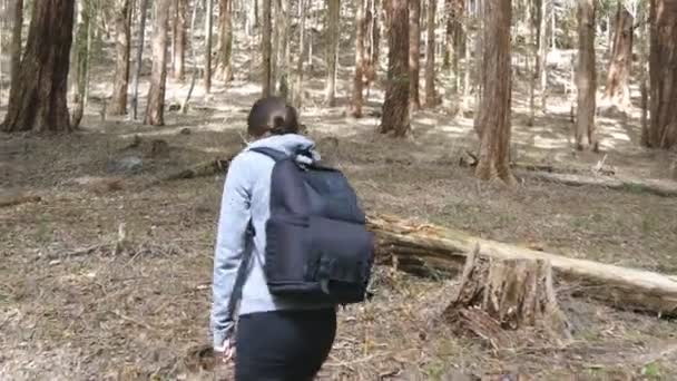 Молодая Туристка Рюкзаком Гуляет Лесу Женщина Турист Собирается Через Лес — стоковое видео