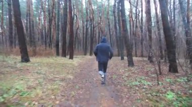 Orman yolunda koşan genç bir sporcu. Sportif koşucu sonbahar ormanında patika boyunca koşuyor. Açık havada kardiyo eğitimi alan güçlü ve dayanıklı bir sporcu. Sağlıklı aktif yaşam tarzı kavramı