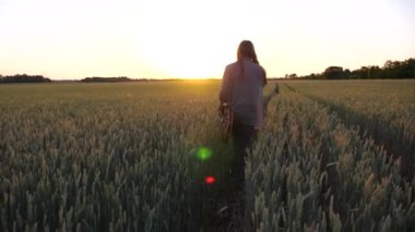 Uzun saçlı hippi adam elinde elektro gitarla yeşil arpa çayırında yürüyor. Müzik aleti olan genç bir hippi buğday tarlasına gidiyor ve gün batımında sigara içiyor..