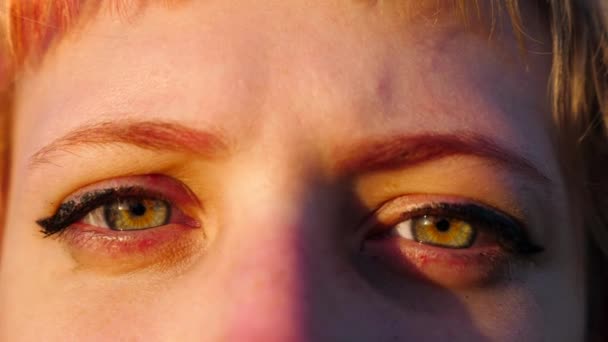 Ojos Verdes Dama Atractiva Mirando Cámara Aire Libre Cara Bonita — Vídeo de stock