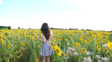 Çiçeklerin arasında yürüyen tanınmayacak kadar güzel bir kız. Sahada özgürlüğün ve güzel doğa koşullarının tadını çıkaran giyinmiş genç bir kadın. Arka planda manzaralı yaz manzarası.
