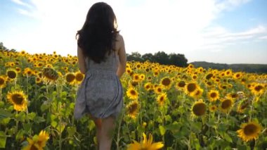 Arka planda parlak güneş ışığıyla ayçiçeği tarlasında koşan tasasız mutlu kız. Genç bir kadın çayırda koşup özgürlüğün tadını çıkartıyor. Manzaralı yaz manzarası. Özgürlük kavramı.