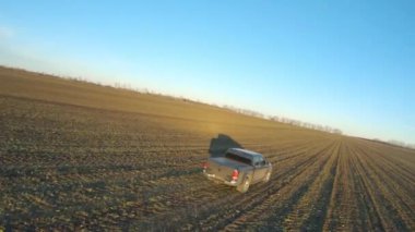 Gündüz vakti tarlalar arasında araba hareket ediyor. Hasattan sonra tarladan geçen bir kamyonet. Güneşli bir günde çayır boyunca giden off-road aracı. Tarım çiftçiliği kavramı. Hava görüntüsü.