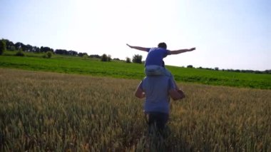 Küçük çocuk babasının omuzlarında oturuyor ve el kaldırarak uçak gibi oynuyor. Mutlu baba ve oğlu buğday tarlasında eğleniyor. Babası ve küçük çocuğu dışarıda vakit geçiriyorlar. Yavaş çekim.