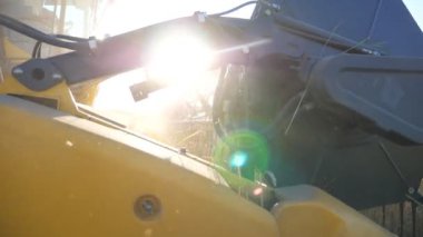 Dönen ve buğday kulakları kesen birleşik bıçakları kapatın. Tarlada çalışan hasat işçisi olgun arpa hasadı topluyor. Arka planda parlak güneş ışığı. Hasat ya da tarım kavramı. Yavaş çekim.