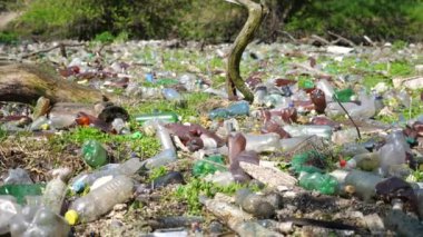 Ormandaki yeşil çimlerin üzerinde bir sürü plastik şişe var. Çöp doğadaki açık ve serbestçe ulaşılabilir yerlere atılır. Küresel çevre kirliliği sorunu. Ekolojik felaket kavramı. Yavaş çekim.